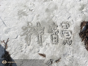 在紐約和華盛頓特區繁忙的演出後，神韻藝術團在佛羅里達聖彼得堡的沙灘上度過休閒一日。（攝影：李艾妮）